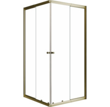 Eckdusche mit Glastüren und Griff