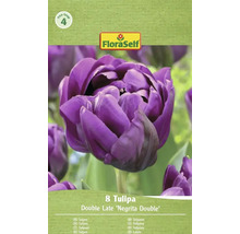 Verpackung mit 8 Tulpen der Sorte Double Late Negrita Double von FloraSelf