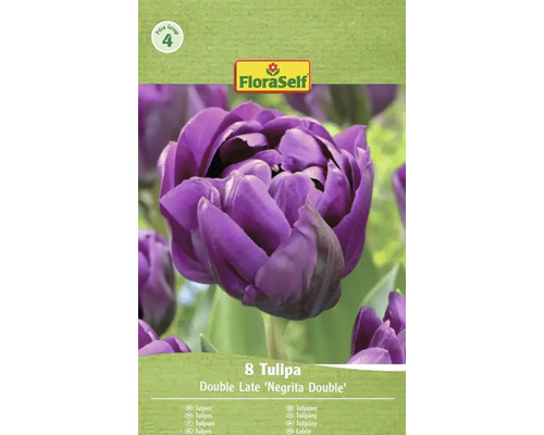 Verpackung mit 8 Tulpen der Sorte Double Late Negrita Double von FloraSelf