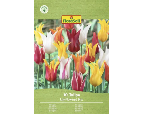 FloraSelf Tulpen Lilienblütige Mischung Packung