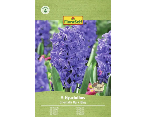 Verpackung mit 5 Hyazinthen orientalis Dark Blue der Marke FloraSelf