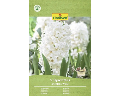 Verpackung mit 5 weißen Hyazinthen der Sorte orientalis von FloraSelf