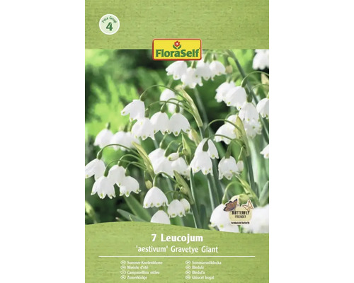 Verpackung mit sieben Sommerknotenblumen der Sorte 'aestivum' Gravetye Giant mit Butterfly Friendly Siegel und FloraSelf Logo