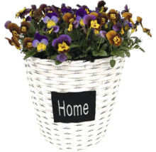 Dekorativer Korb mit Veilchenblüten und der Aufschrift Home