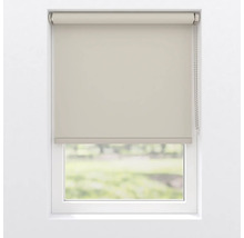 Fenster mit blickdichtem Rollo