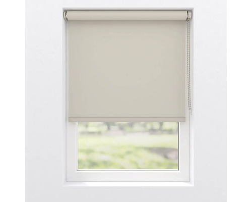 Fenster mit blickdichtem Rollo
