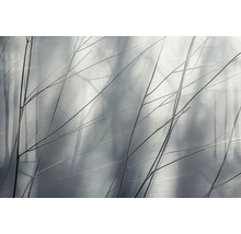 Dekorative Zweige vor einem verschwommenen Hintergrund