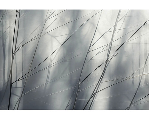 Fototapete Vlies 22088-07-01 GMK Art Edition 2 Aeris grau 8-tlg. 400 x 270 cm Dekorative Zweige vor einem verschwommenen Hintergrund