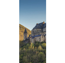 Burgruine auf einem Hügel