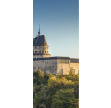 Burgruine mit Turm und umgebender Vegetation