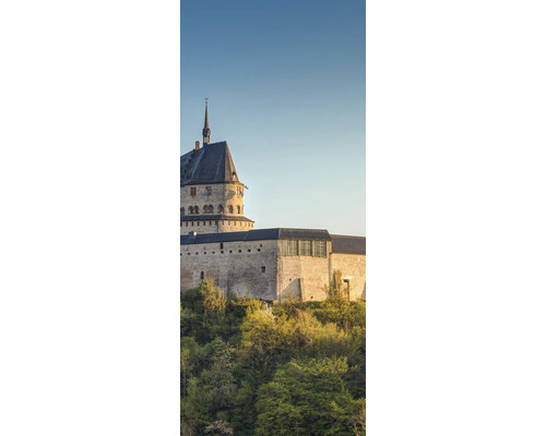 Duschrückwand SCHULTE DecoDesign Bertrage rechts Burgmauer 255 x 100 cm D190102523 8144 Burgruine mit Turm und umgebender Vegetation