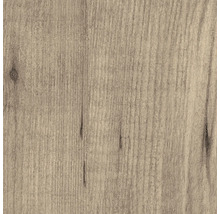 Holzstruktur Nahaufnahme