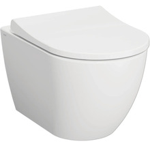 Wand-Tiefspülklosett mit Deckel