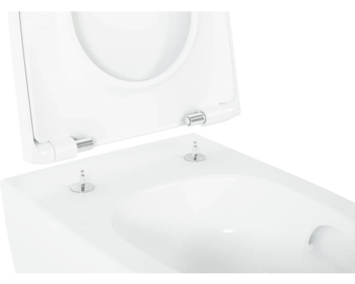 Detailaufnahme einer Toilette mit offenem Toilettendeckel