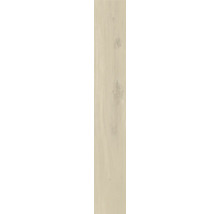 Holzpaneel für Wand- und Deckengestaltung