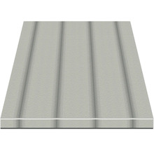 Profilbrett mit Nut- und Federverbindung