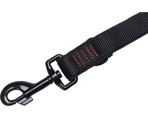 Schwarze Hundeleine mit Karabinerhaken