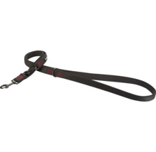 Hundeleine aus Nylongewebe mit Karabinerhaken