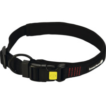 Schwarzes Hundehalsband mit Schnalle und D-Ring