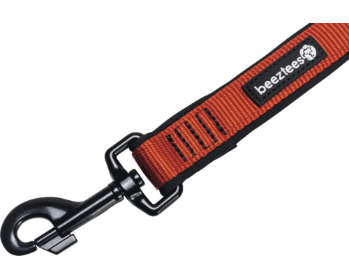 Hundeleine mit Karabinerhaken