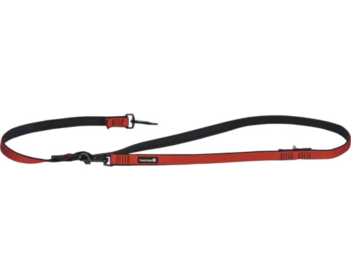 Hundeleine mit zwei Karabinern