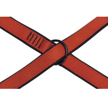 Kreuzende Gurtbänder mit einem Ring zur Befestigung