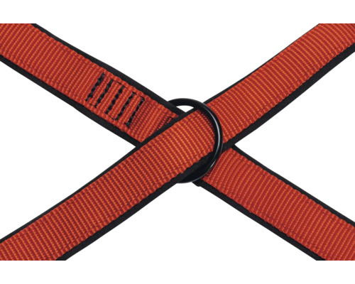Kreuzende Gurtbänder mit einem Ring zur Befestigung