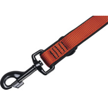 Hundeleine mit Karabinerhaken