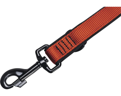 Hundeleine mit Karabinerhaken