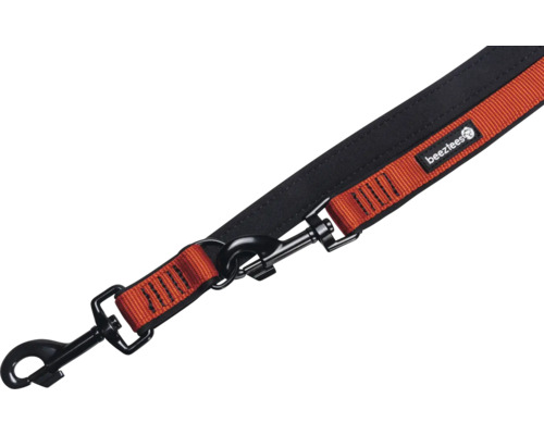 Hundeleine mit Karabinerhaken und Beenztees Logo