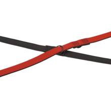 Kreuzende Hundeleinen aus Nylon und Leder