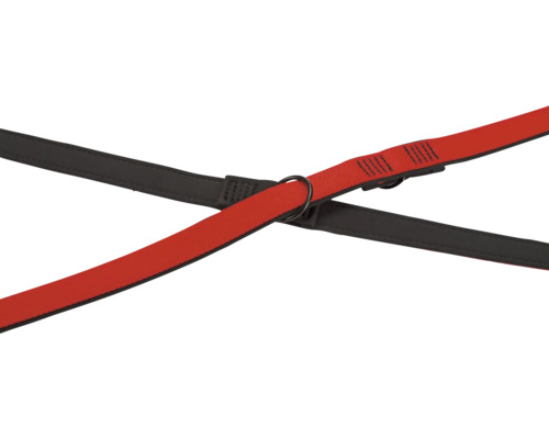 Kreuzende Hundeleinen aus Nylon und Leder
