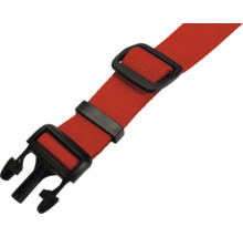 Roter Gurt mit schwarzen Schnallen