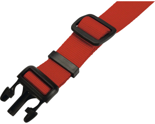 Roter Gurt mit schwarzen Schnallen