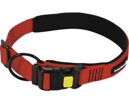 Hundehalsband aus Gewebe mit Schnalle und Ring