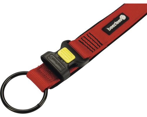 Hundegeschirr mit Ring und Schnalle