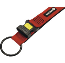 Beetztlees Logo auf rotem Hundegeschirr mit Schnalle und Ring