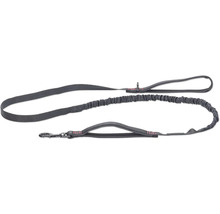 Graue Hunde-Doppelleine mit Ruckdämpfer