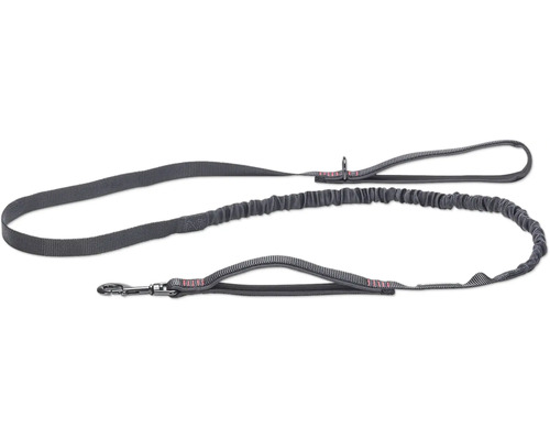 Graue Hunde-Doppelleine mit Ruckdämpfer