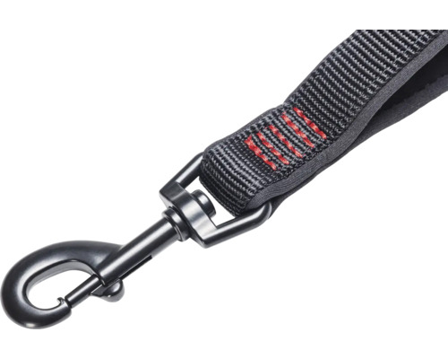 Hundeleine mit Karabinerhaken
