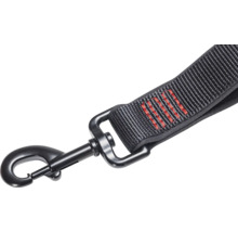 Hundeleine mit Karabinerhaken