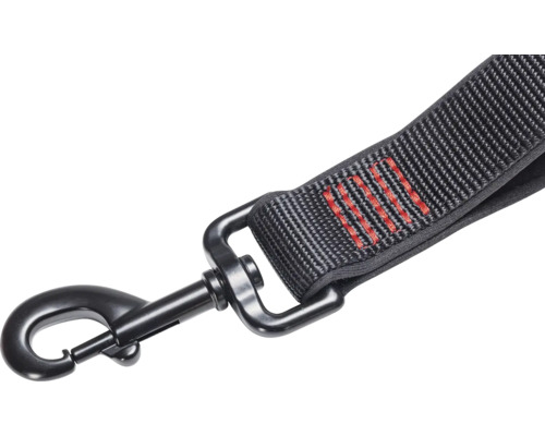 Hundeleine mit Karabinerhaken
