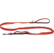 Orangefarbene Beasterees-Hundeleine mit elastischem Abschnitt