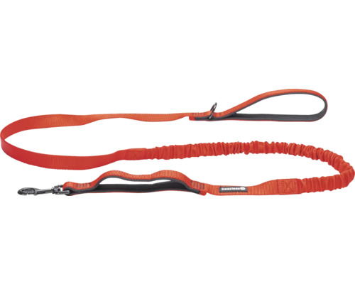 Orangefarbene Beasterees-Hundeleine mit elastischem Abschnitt