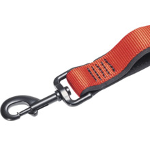 Hundeleine mit Karabinerhaken
