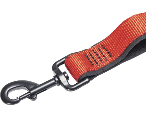 Hundeleine mit Karabinerhaken