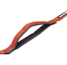 Beeztees Logo auf Tragegurt