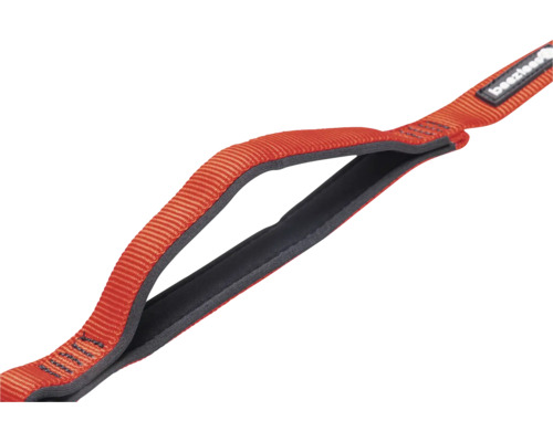 Beeztees Logo auf Tragegurt