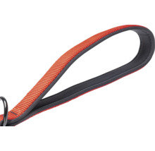 Schlaufe einer Hundeleine