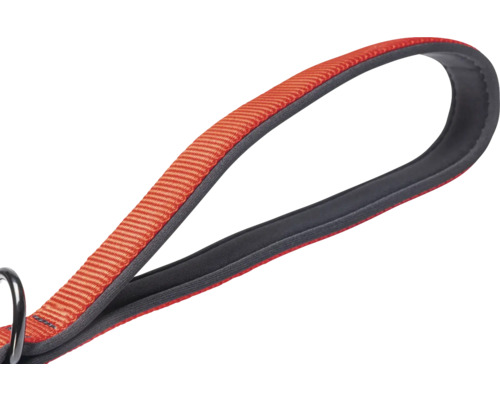 Schlaufe einer Hundeleine